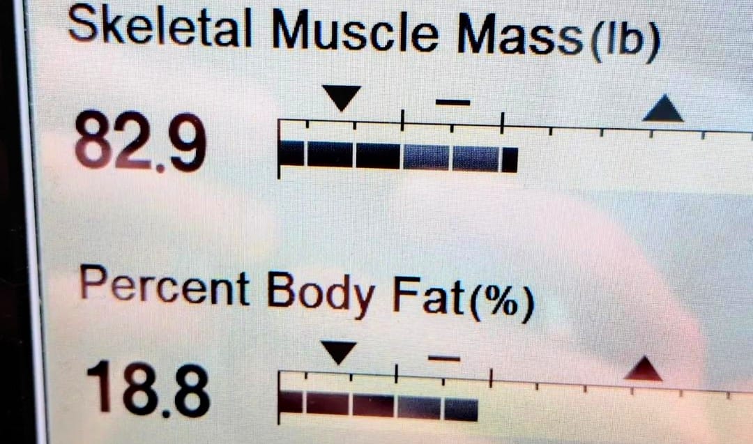 My Journey to Fitness - Summer 2025