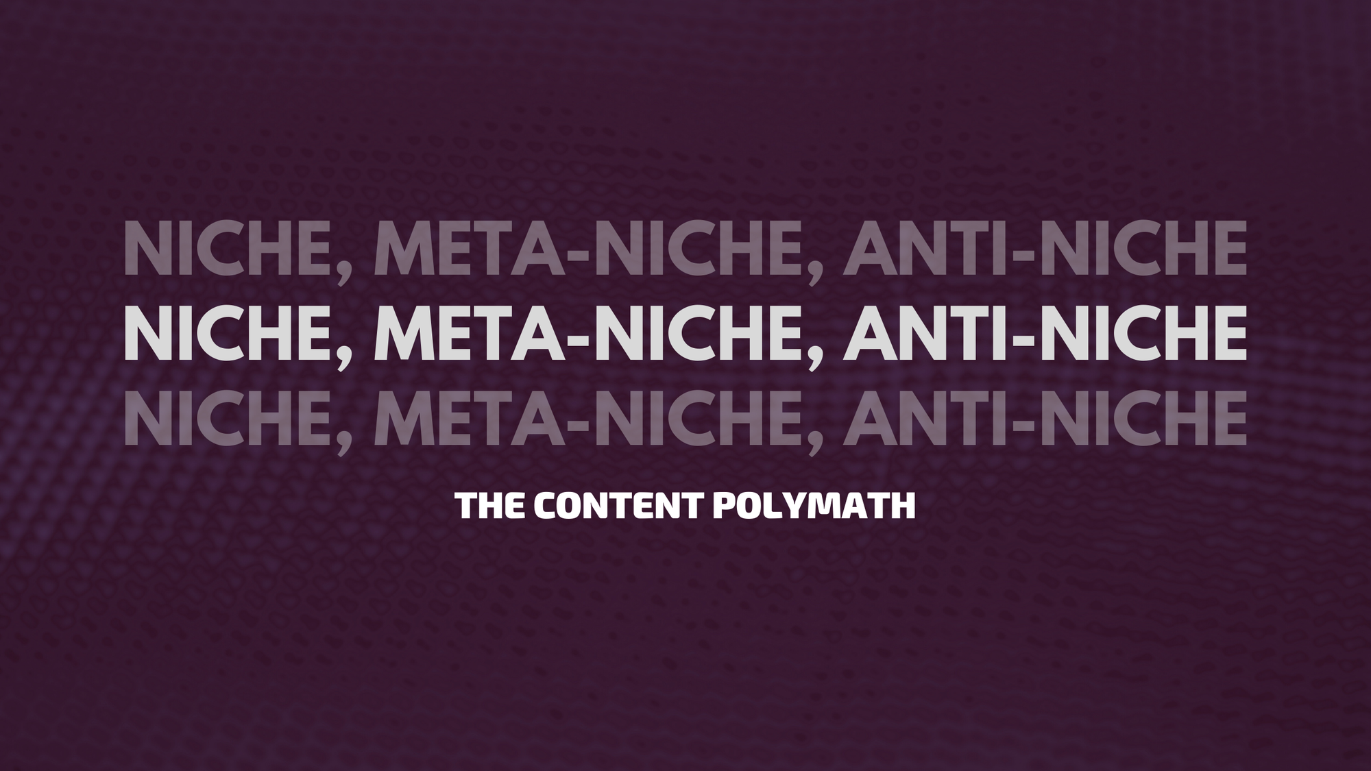 Niche, Meta-Niche, Anti-Niche